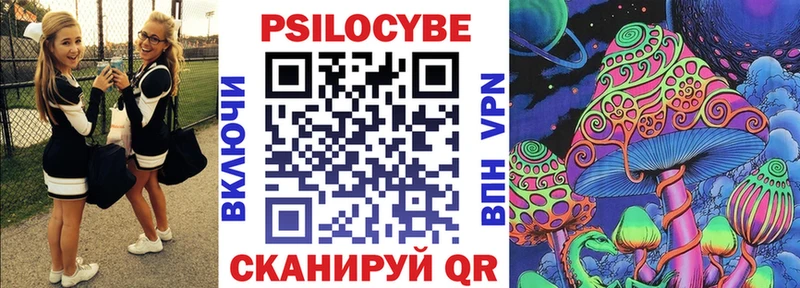 что такое наркотик  Знаменск  Псилоцибиновые грибы Cubensis 
